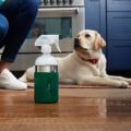 Non-toxic and Safe Products for Pets: Keeping Your Carpets Clean and Fresh