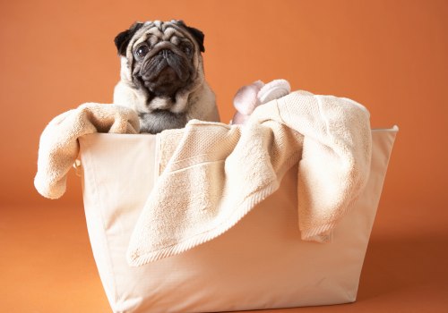 Ingredients to Avoid in Cleaning Products for Pet-Friendly Carpet Cleaning