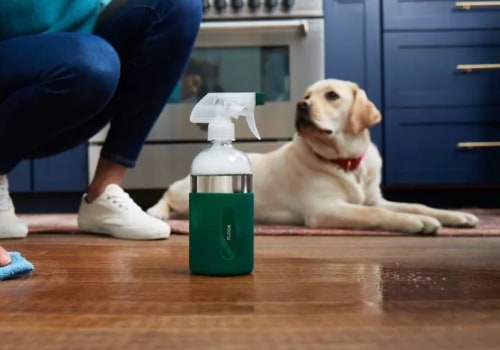 Non-toxic and Safe Products for Pets: Keeping Your Carpets Clean and Fresh