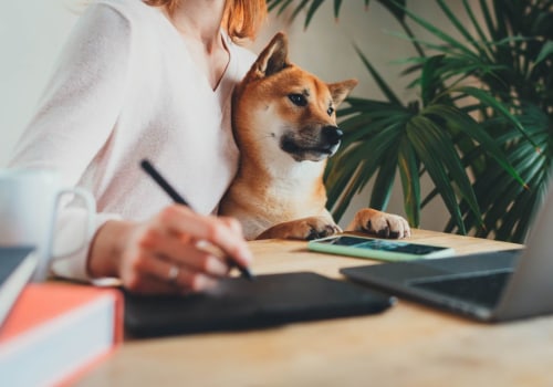 Certifications to Look for in Pet-Friendly Products: A Complete Guide